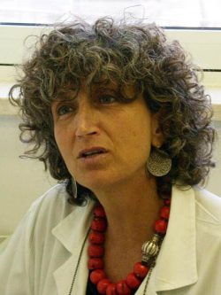 Nitzan Dorrit